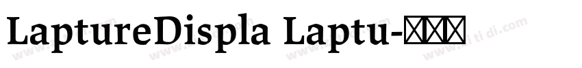 LaptureDispla Laptu字体转换